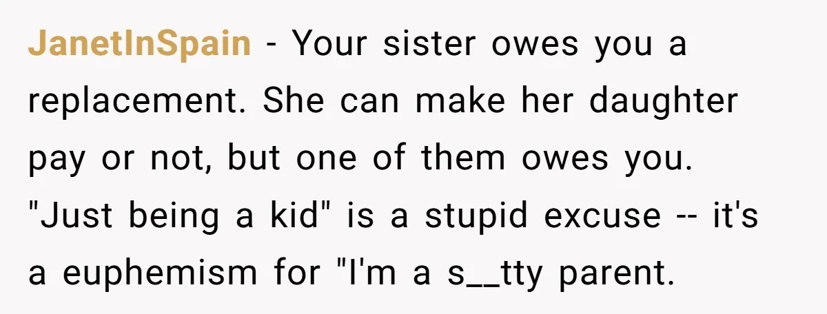 JanetInSpain − Your sister owes you a replacement. She can make her daughter pay or not, but one of them owes you. "Just being a kid" is a stupid excuse...
