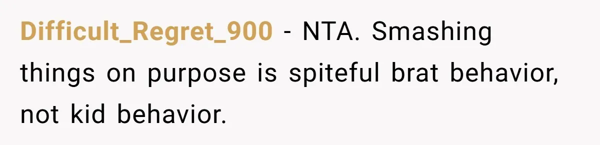 Difficult_Regret_900 − NTA. Smashing things on purpose is spiteful brat behavior, not kid behavior.