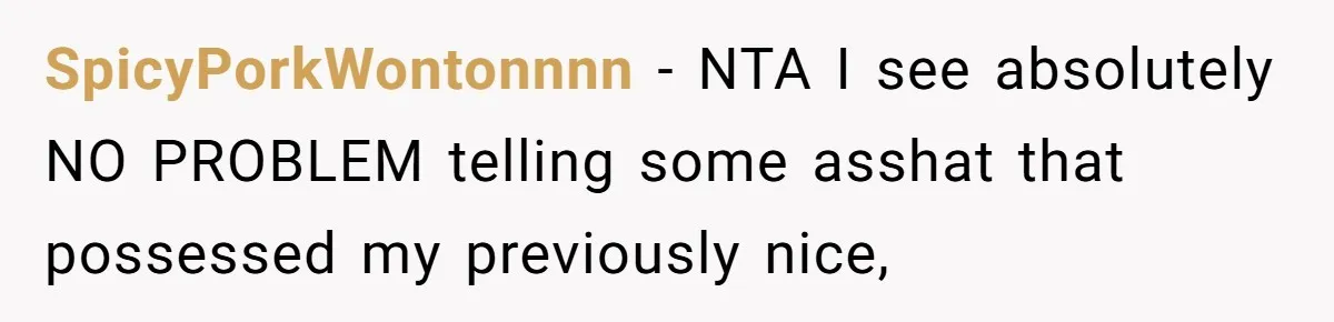 SpicyPorkWontonnnn − NTA I see absolutely NO PROBLEM telling some asshat that possessed my previously nice,
