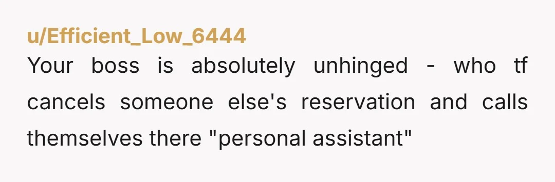 u/Efficient_Low_6444 Your boss is absolutely unhinged - who tf cancels someone else's reservation and calls themselves there "personal assistant"