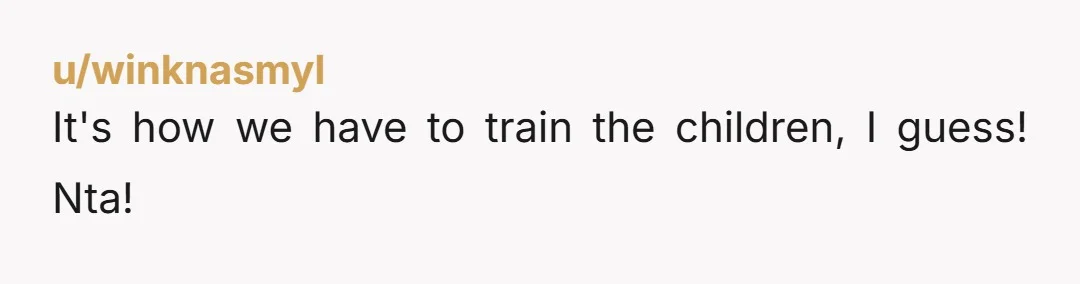 u/winknasmyl
It's how we have to train the children, I guess! Nta!
