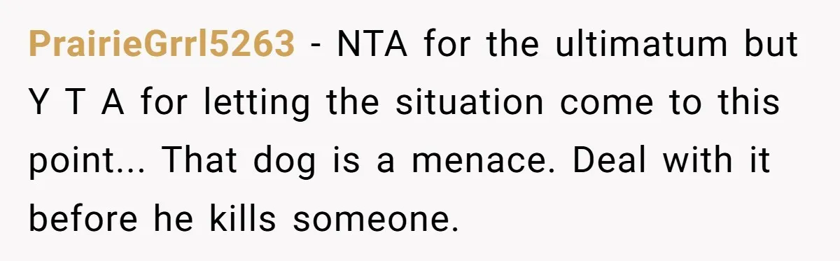 PrairieGrrl5263 − NTA for the ultimatum but Y T A for letting the situation come to this point... That dog is a menace. Deal with it before he kills someone.