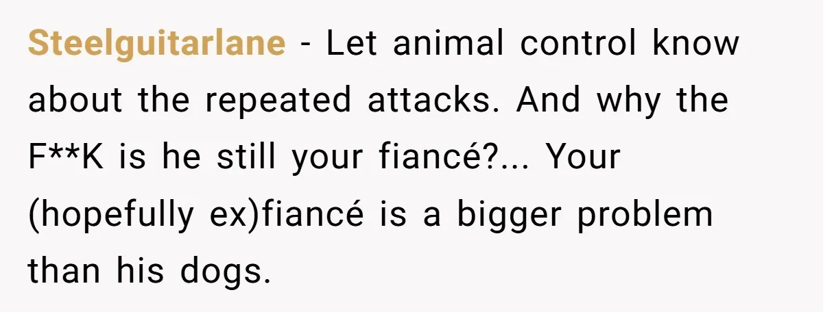 Steelguitarlane − Let animal control know about the repeated attacks. And why the F**K is he still your fiancé?... Your (hopefully ex)fiancé is a bigger problem than his dogs.