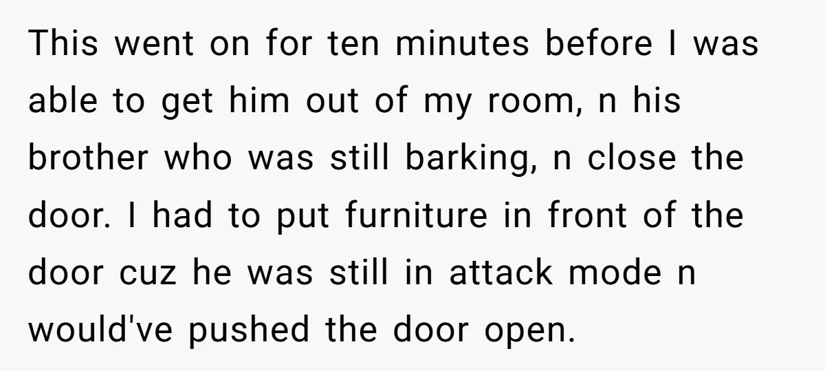 This went on for ten minutes before I was able to get him out of my room, n his brother who was still barking, n close the door. I had...