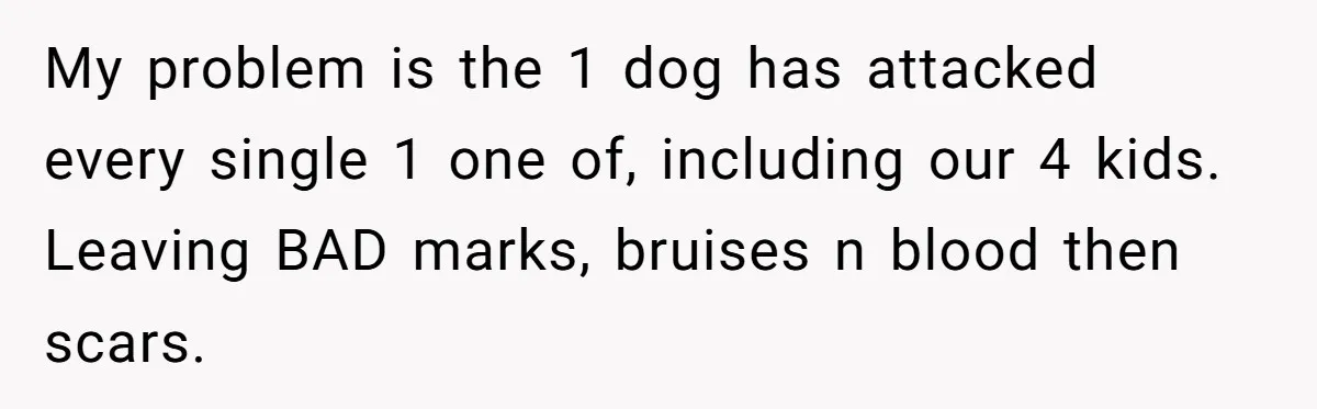 My problem is the 1 dog has attacked every single 1 one of, including our 4 kids. Leaving BAD marks, bruises n blood then scars.