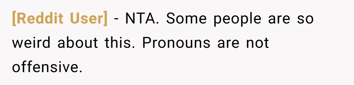 [Reddit User] − NTA. Some people are so weird about this. Pronouns are not offensive.