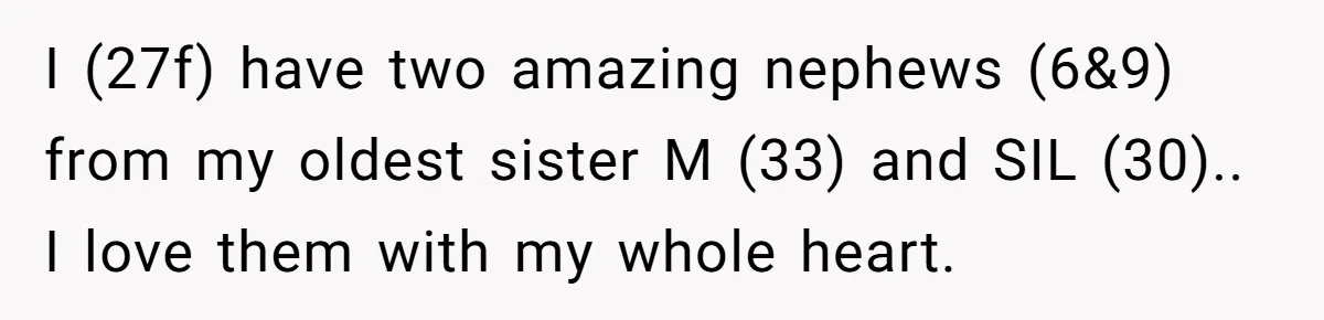 I (27f) have two amazing nephews (6&9) from my oldest sister M (33) and SIL (30).. I love them with my whole heart.
