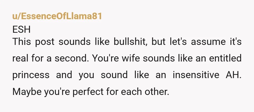 u/EssenceOfLlama81 ESH This post sounds like bullshit, but let's assume it's real for a second. You're wife sounds like an entitled princess and you sound like an insensitive AH. Maybe...