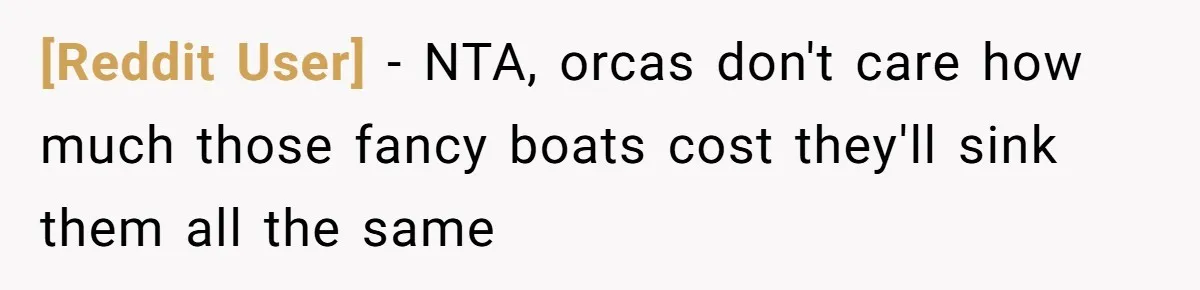 [Reddit User] − NTA, orcas don't care how much those fancy boats cost they'll sink them all the same
