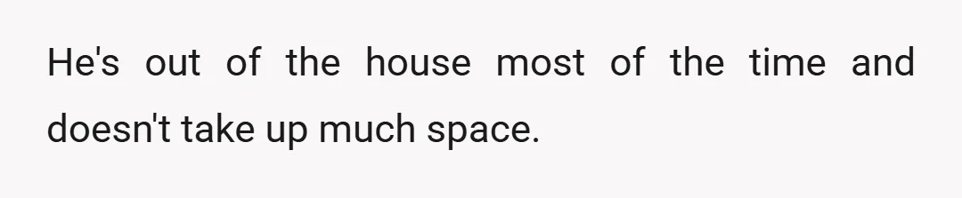 He's out of the house most of the time and doesn't take up much space.