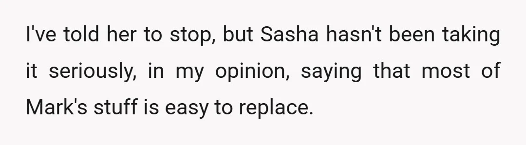 I've told her to stop, but Sasha hasn't been taking it seriously, in my opinion, saying that most of Mark's stuff is easy to replace.