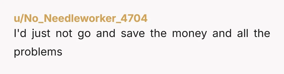 u/No_Needleworker_4704
I'd just not go and save the money and all the problems
