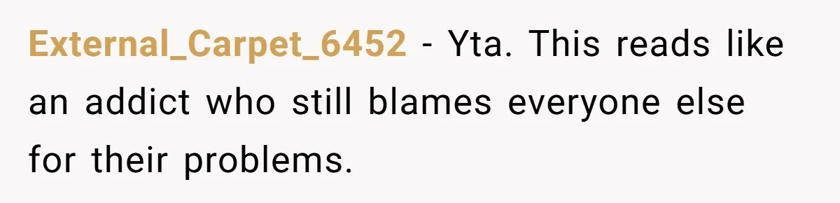 External_Carpet_6452 − Yta. This reads like an addict who still blames everyone else for their problems.