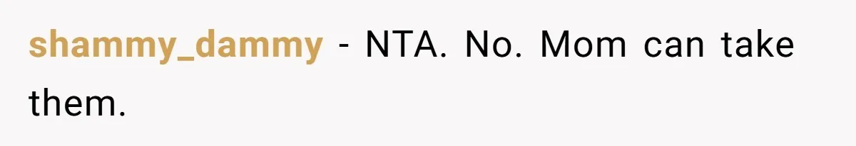 shammy_dammy − NTA. No. Mom can take them.