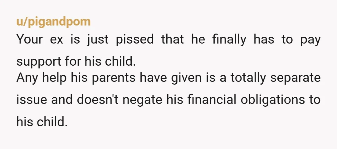u/pigandpom Your ex is just pissed that he finally has to pay support for his child. Any help his parents have given is a totally separate issue and doesn't negate...