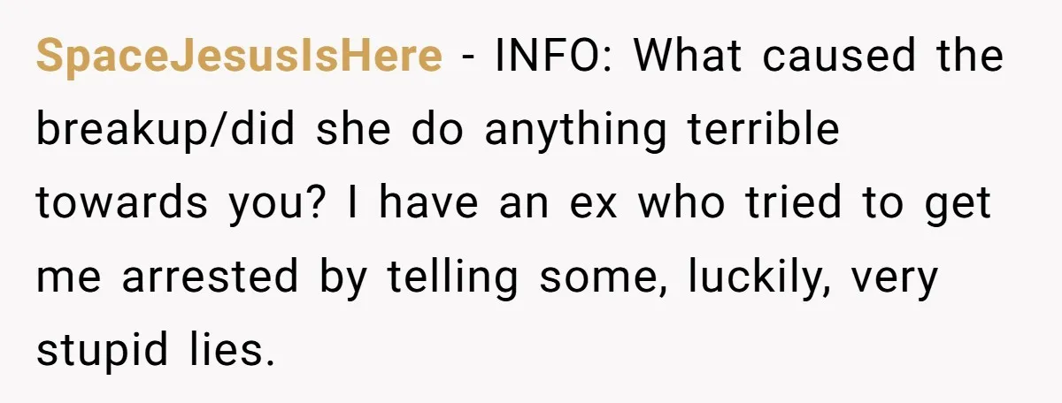 SpaceJesusIsHere − INFO: What caused the breakup/did she do anything terrible towards you? I have an ex who tried to get me arrested by telling some, luckily, very stupid lies.