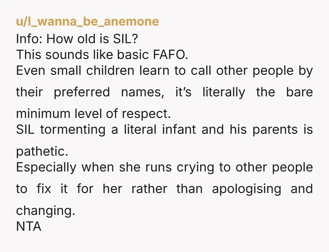 u/I_wanna_be_anemone Info: How old is SIL? This sounds like basic FAFO. Even small children learn to call other people by their preferred names, it’s literally the bare minimum level of...