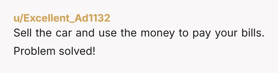 u/Excellent_Ad1132
Sell the car and use the money to pay your bills. Problem solved!