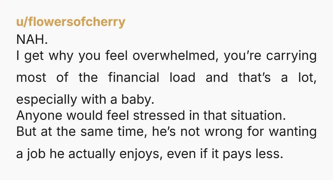 u/flowersofcherry NAH. I get why you feel overwhelmed, you’re carrying most of the financial load and that’s a lot, especially with a baby. Anyone would feel stressed in that situation....