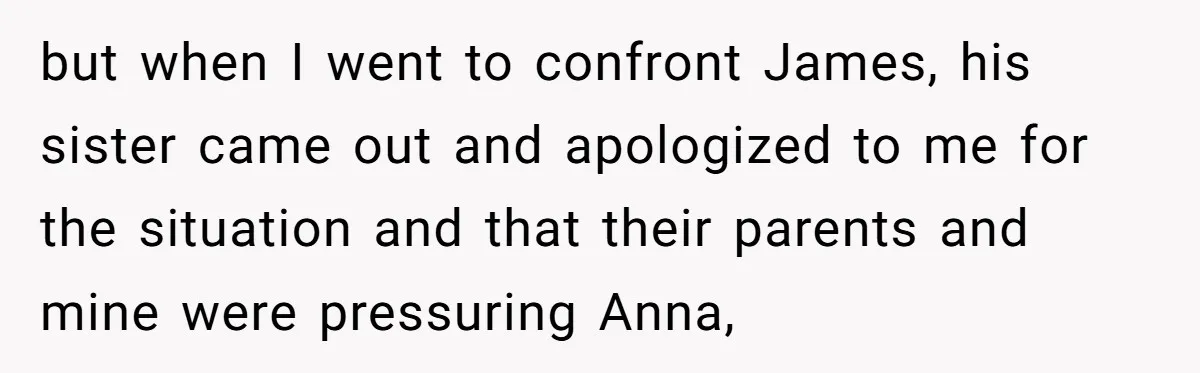 but when I went to confront James, his sister came out and apologized to me for the situation and that their parents and mine were pressuring Anna,