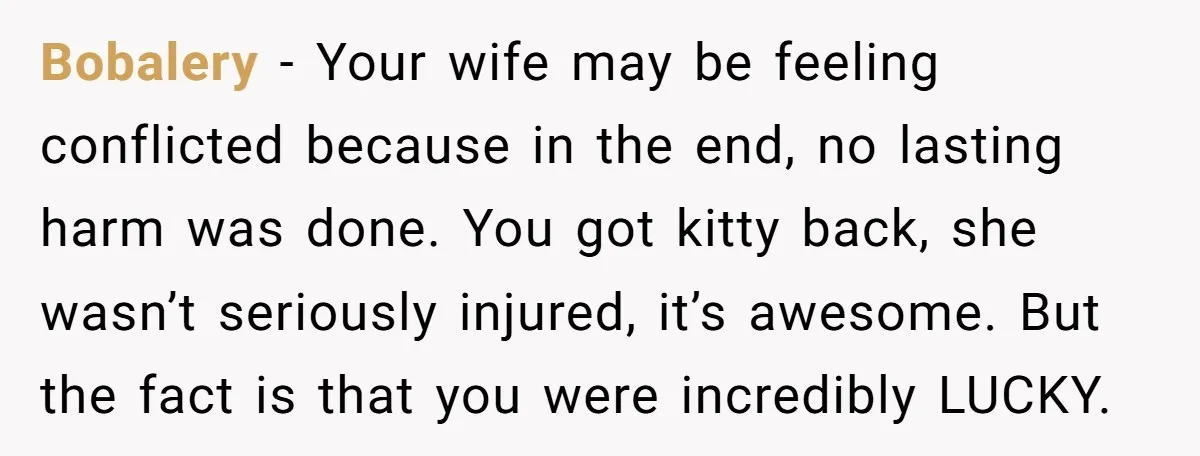 Bobalery − Your wife may be feeling conflicted because in the end, no lasting harm was done. You got kitty back, she wasn’t seriously injured, it’s awesome. But the fact...