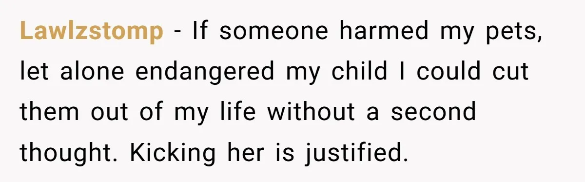 Lawlzstomp − If someone harmed my pets, let alone endangered my child I could cut them out of my life without a second thought. Kicking her is justified.