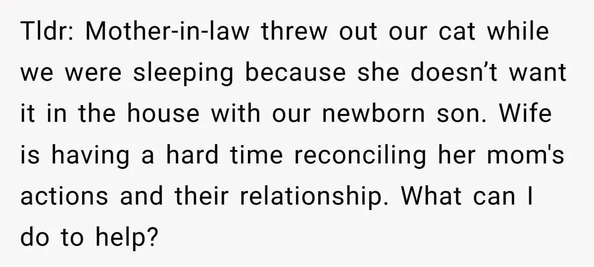 Tldr: Mother-in-law threw out our cat while we were sleeping because she doesn’t want it in the house with our newborn son. Wife is having a hard time reconciling her...