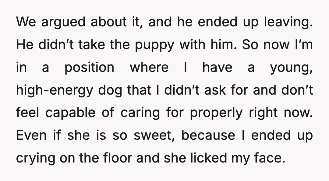 We argued about it, and he ended up leaving. He didn’t take the puppy with him. So now I’m in a position where I have a young, high-energy dog that...