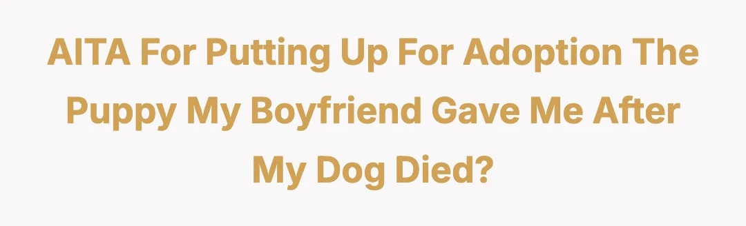 AITA for putting up for adoption the puppy my boyfriend gave me after my dog died?