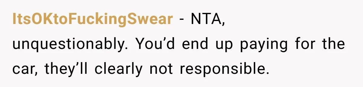 ItsOKtoFuckingSwear − NTA, unquestionably. You’d end up paying for the car, they’ll clearly not responsible.