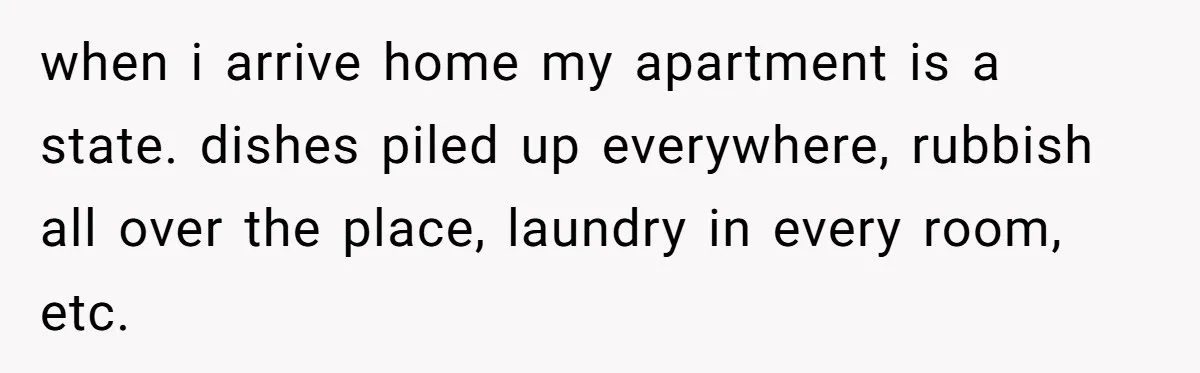 when i arrive home my apartment is a state. dishes piled up everywhere, rubbish all over the place, laundry in every room, etc.