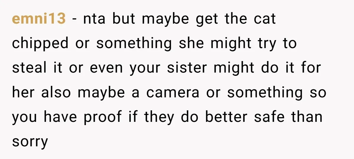 emni13 − nta but maybe get the cat chipped or something she might try to steal it or even your sister might do it for her also maybe a camera...