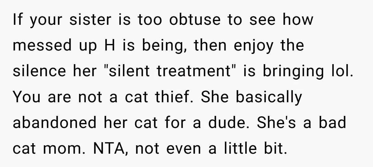 If your sister is too obtuse to see how messed up H is being, then enjoy the silence her "silent treatment" is bringing lol. You are not a cat thief....