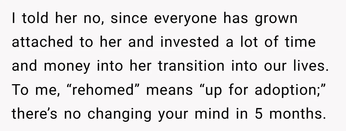 I told her no, since everyone has grown attached to her and invested a lot of time and money into her transition into our lives. To me, “rehomed” means “up...