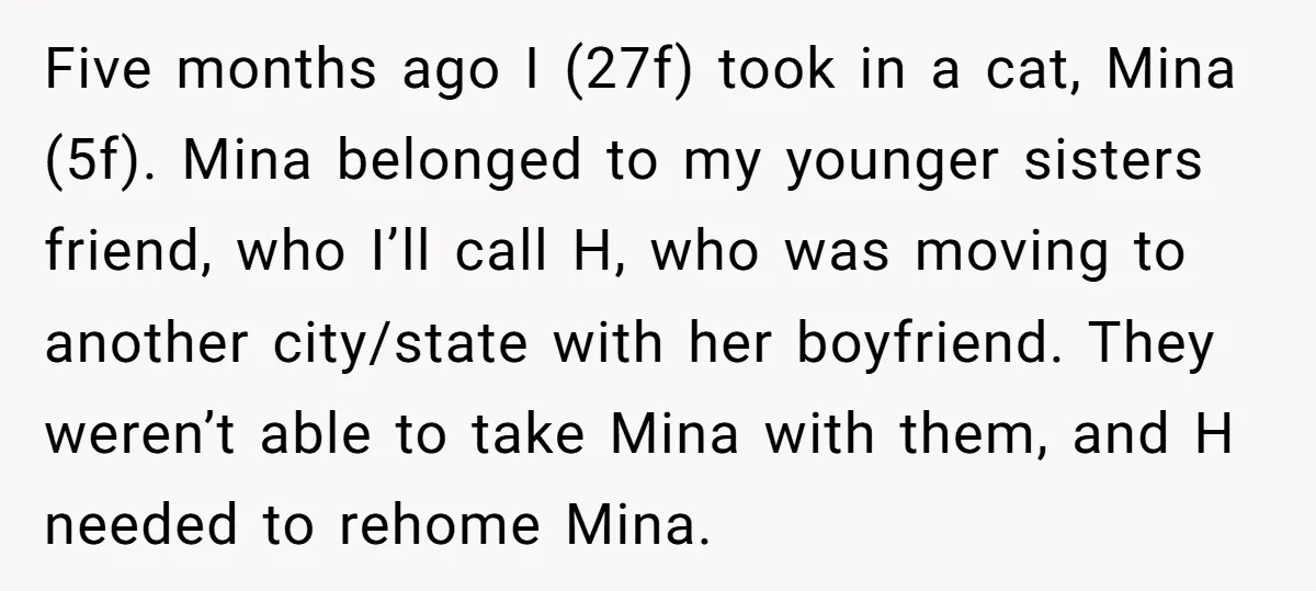 Five months ago I (27f) took in a cat, Mina (5f). Mina belonged to my younger sisters friend, who I’ll call H, who was moving to another city/state with her...