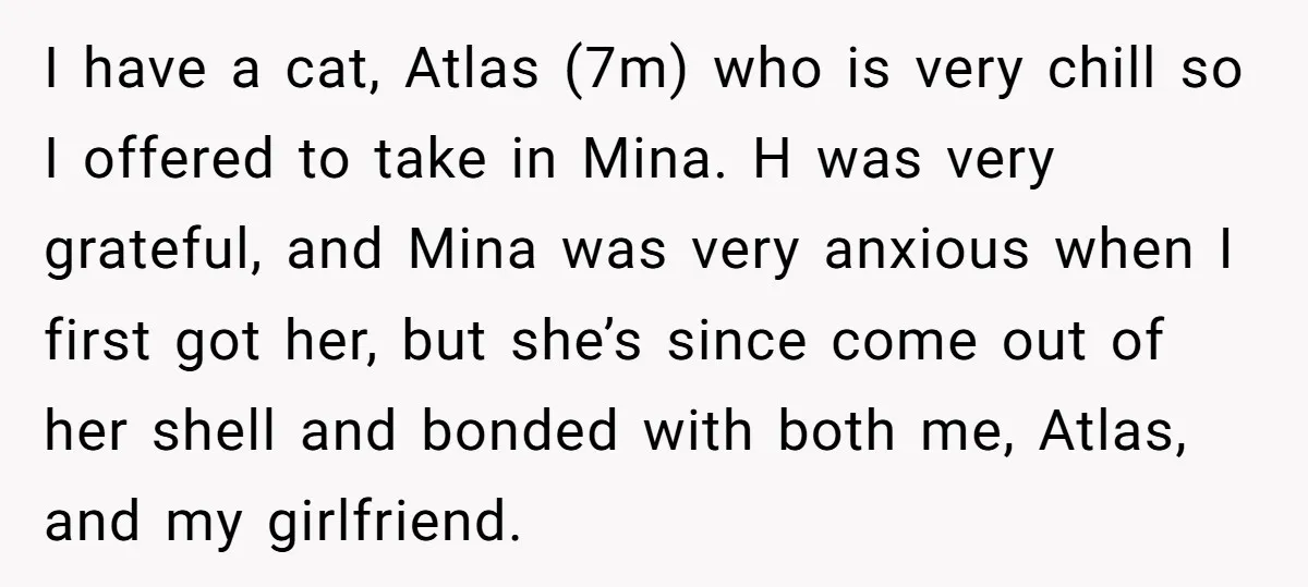 I have a cat, Atlas (7m) who is very chill so I offered to take in Mina. H was very grateful, and Mina was very anxious when I first got...