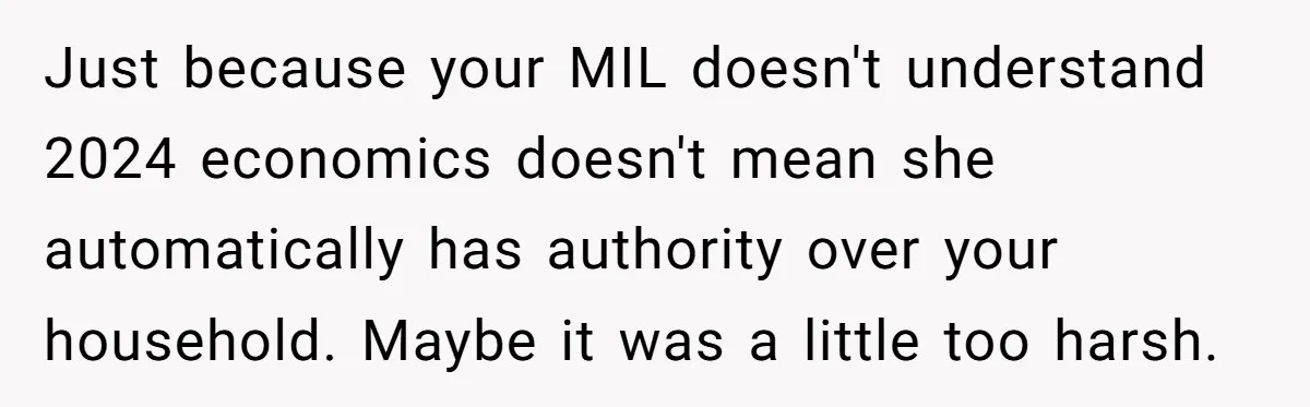 Just because your MIL doesn't understand 2024 economics doesn't mean she automatically has authority over your household. Maybe it was a little too harsh.