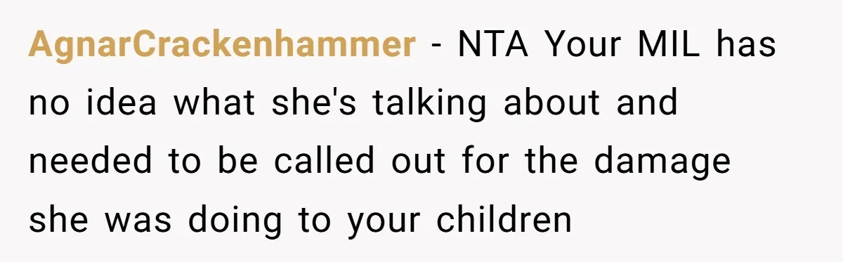 AgnarCrackenhammer − NTA Your MIL has no idea what she's talking about and needed to be called out for the damage she was doing to your children
