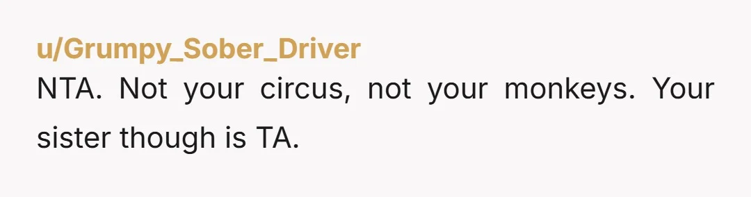 u/ServelanDarrow NTA. She abandoned her daughter. Her. In a country she doesn't live in. The rest of your aren't her parents.