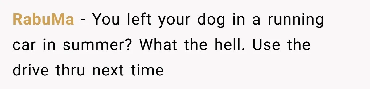 RabuMa − You left your dog in a running car in summer? What the hell. Use the drive thru next time