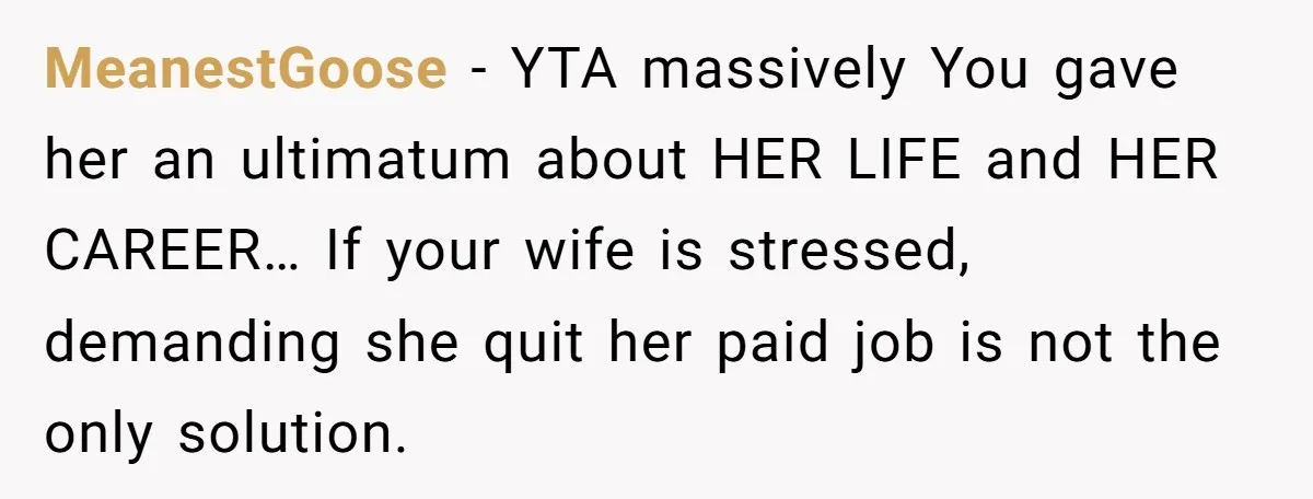 MeanestGoose − YTA massively You gave her an ultimatum about HER LIFE and HER CAREER… If your wife is stressed, demanding she quit her paid job is not the only...