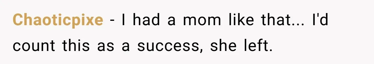 Chaoticpixe − I had a mom like that... I'd count this as a success, she left.
