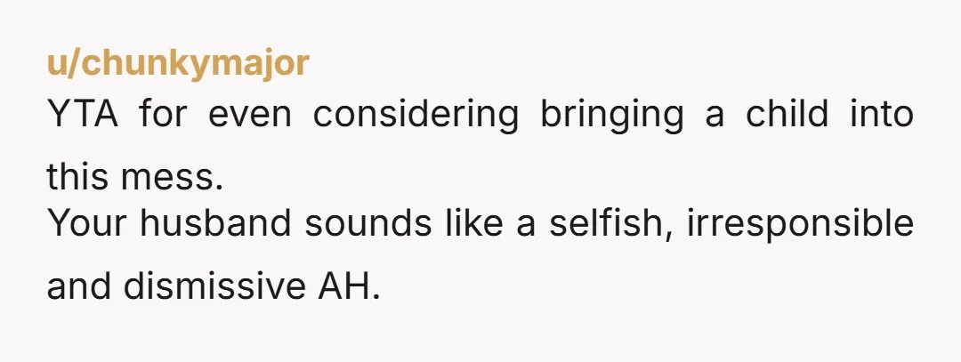 u/chunkymajor
YTA for even considering bringing a child into this mess. 
Your husband sounds like a selfish, irresponsible and dismissive AH. 