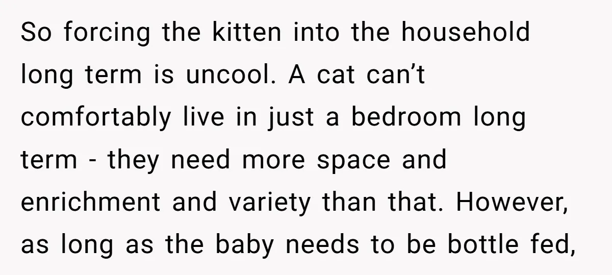 So forcing the kitten into the household long term is uncool. A cat can’t comfortably live in just a bedroom long term - they need more space and enrichment and...