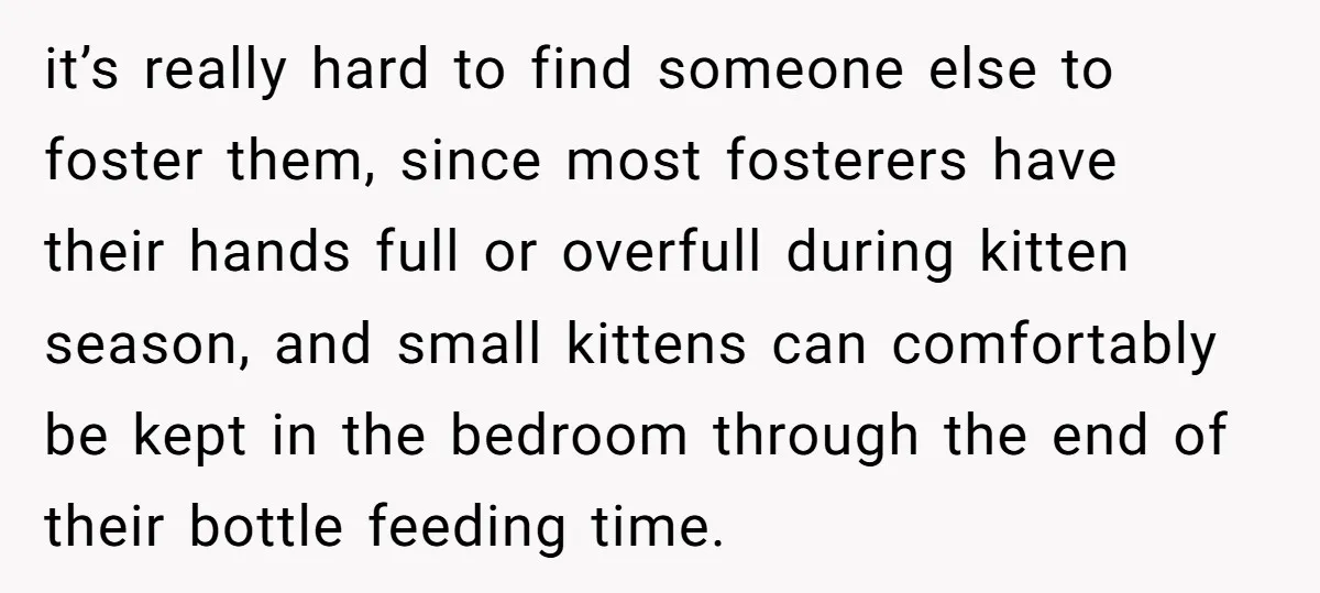 it’s really hard to find someone else to foster them, since most fosterers have their hands full or overfull during kitten season, and small kittens can comfortably be kept in...