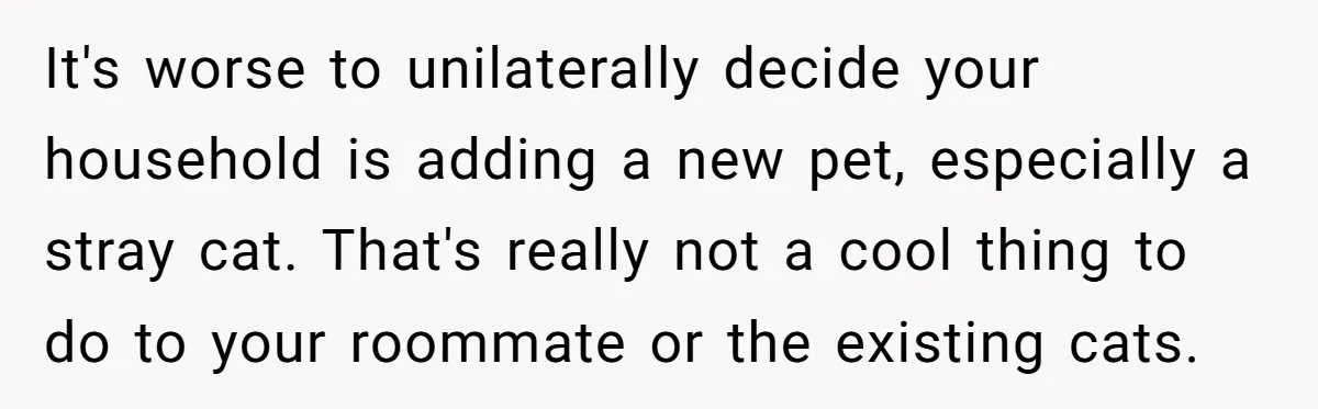It's worse to unilaterally decide your household is adding a new pet, especially a stray cat. That's really not a cool thing to do to your roommate or the existing...