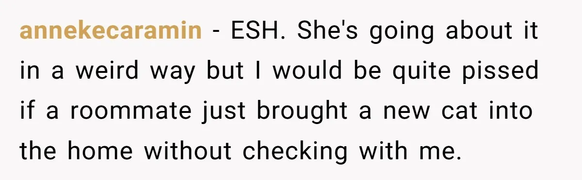 annekecaramin − ESH. She's going about it in a weird way but I would be quite pissed if a roommate just brought a new cat into the home without checking...
