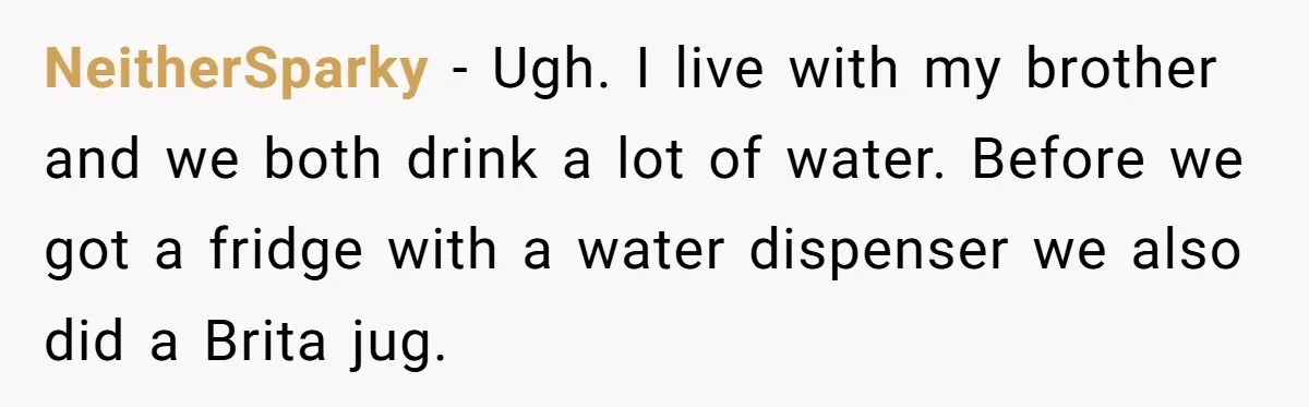 NeitherSparky − Ugh. I live with my brother and we both drink a lot of water. Before we got a fridge with a water dispenser we also did a Brita...