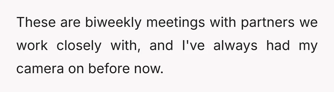 These are biweekly meetings with partners we work closely with, and I've always had my camera on before now.