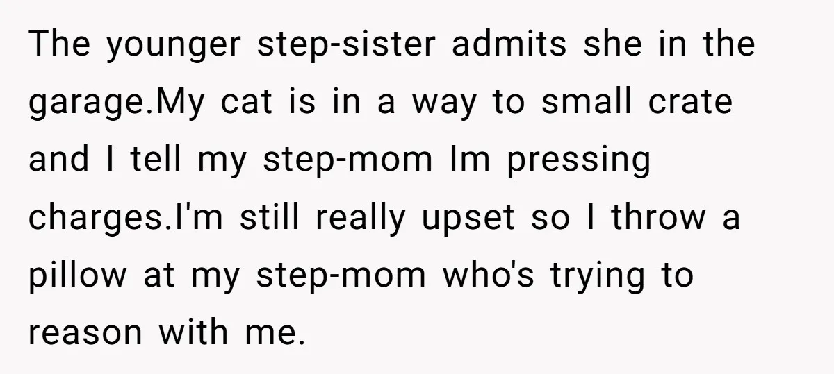 The younger step-sister admits she in the garage.My cat is in a way to small crate and I tell my step-mom Im pressing charges.I'm still really upset so I throw...